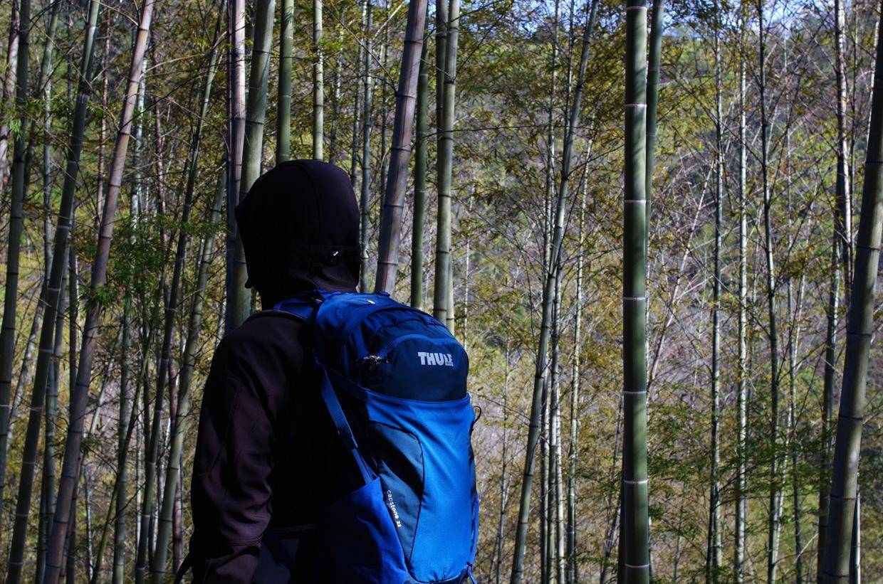 旅游/短线背包怎么选—拓乐ThuleCapstone22L背包体验记