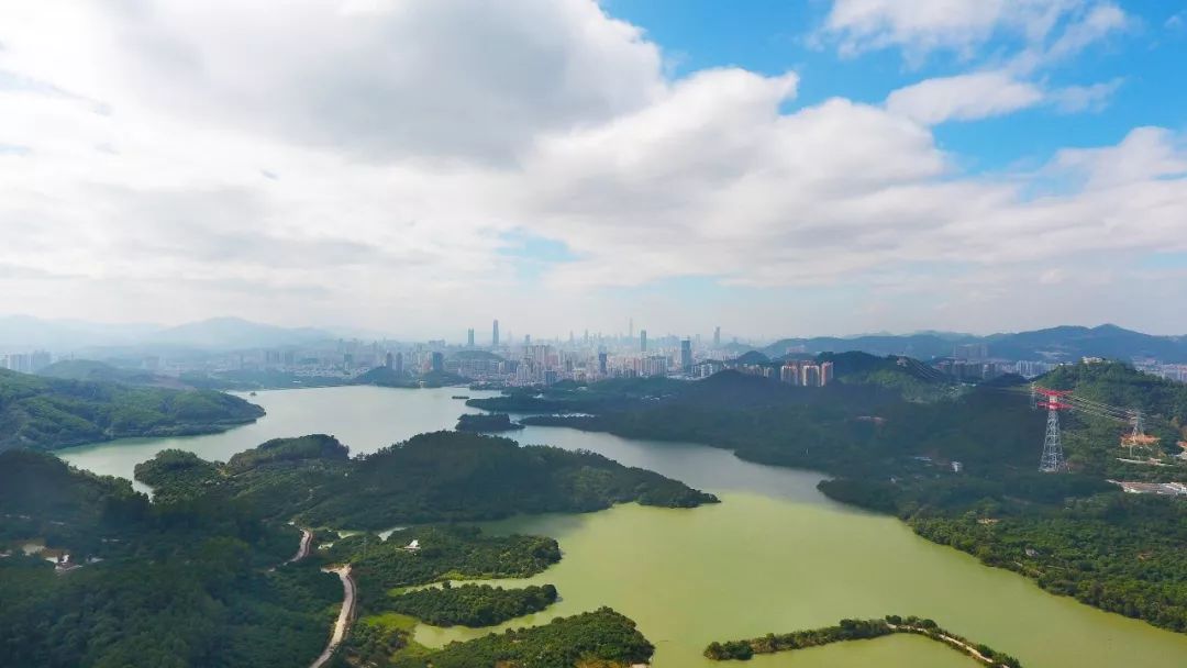 宝山新房开盘排行榜,宝山地王