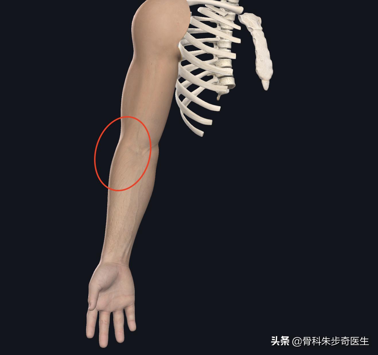 为什么胳膊有一阵一阵的痛,胳膊痛得最好最快的解决办法