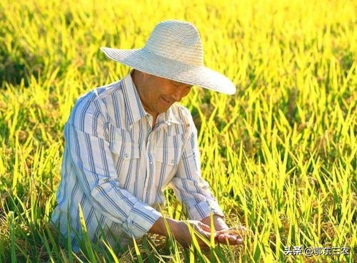 为何这么多人不愿意当农民？你怎么看？