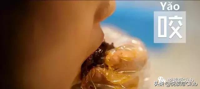 连成都人都赞不绝口的兔头空降安顺！这些兔兔还是安顺人自家养的