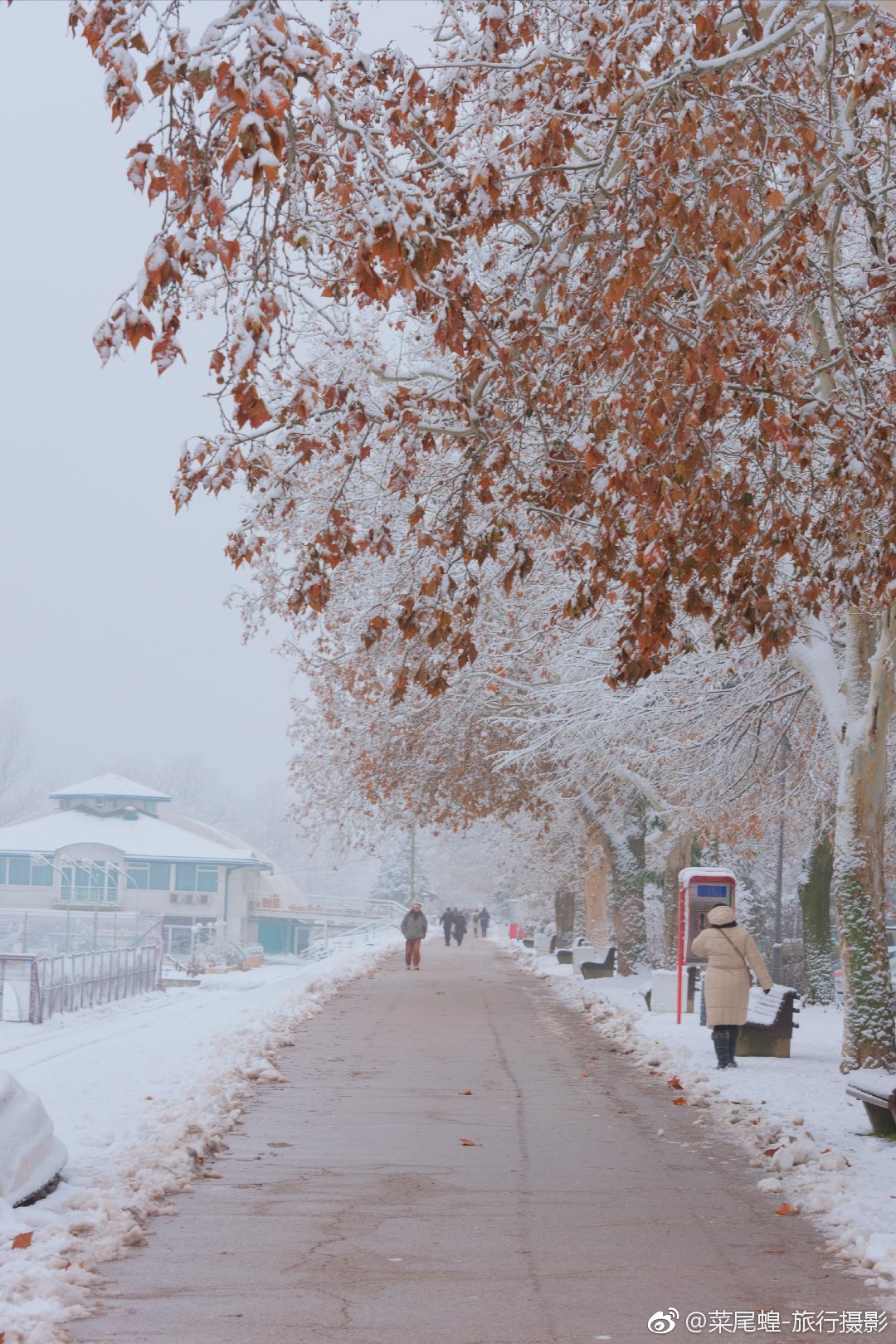 贝尔格莱德旅游免签,东欧冬天旅游攻略