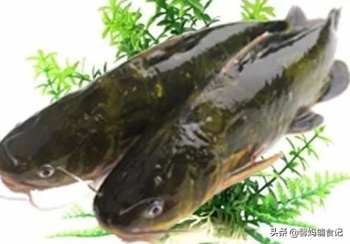 宝宝免疫力食谱,宝宝能增强免疫力的辅食