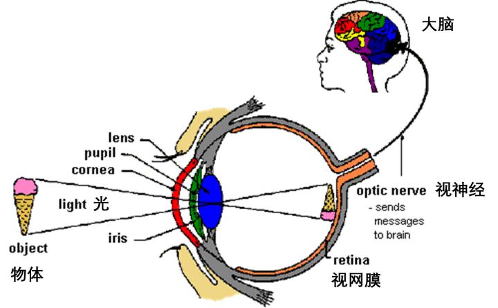 港科大世界首个3d人工眼球,香港人工眼球