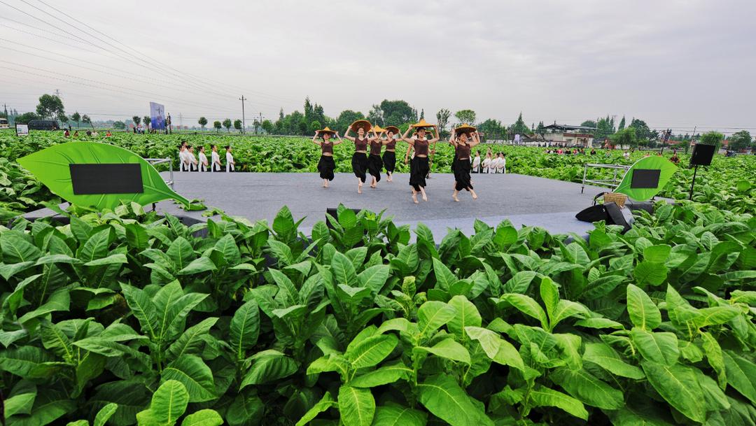 长城故事会,长城故事会荣光