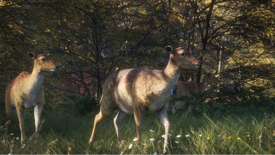 Steam特惠：拳皇14打骨折，拳皇13近乎白给，SNK真不想赚钱了？