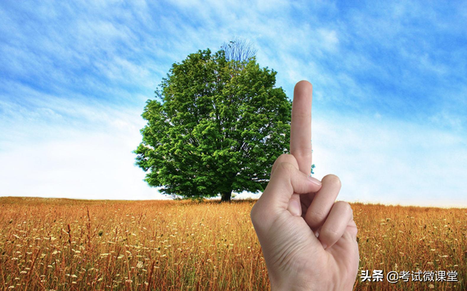 高中数学射影定理三角函数,三角函数的数学历史