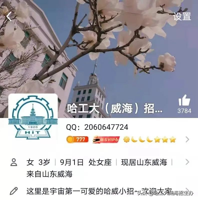 哈工大威海云咨询平台上线啦！qq咨询群、微信公众号、微博、抖音、bilibili……关注小招，获取更多招生资讯