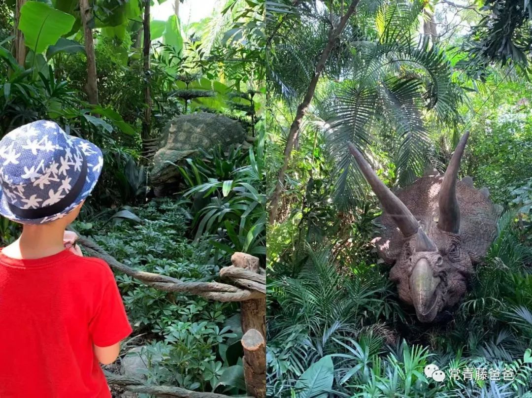 广州和珠海长隆一起玩攻略,广州珠海长隆旅游攻略5天四晚