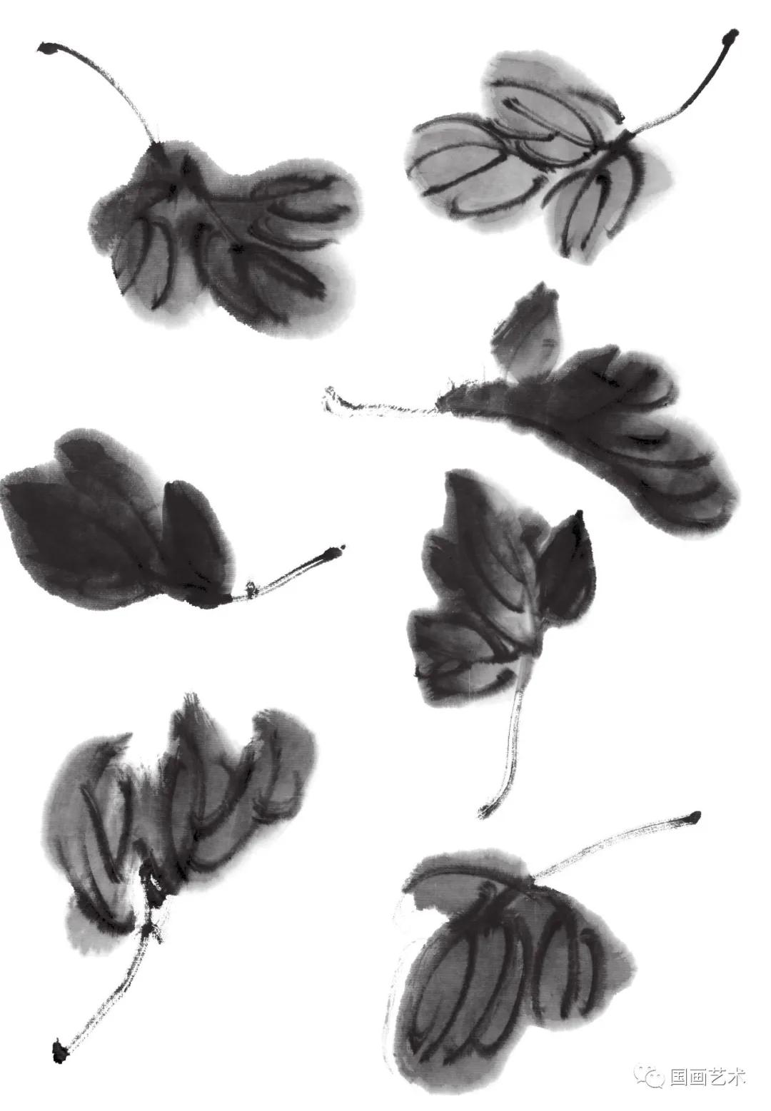 国画写意菊花龙爪菊,写意菊花画法教程简单