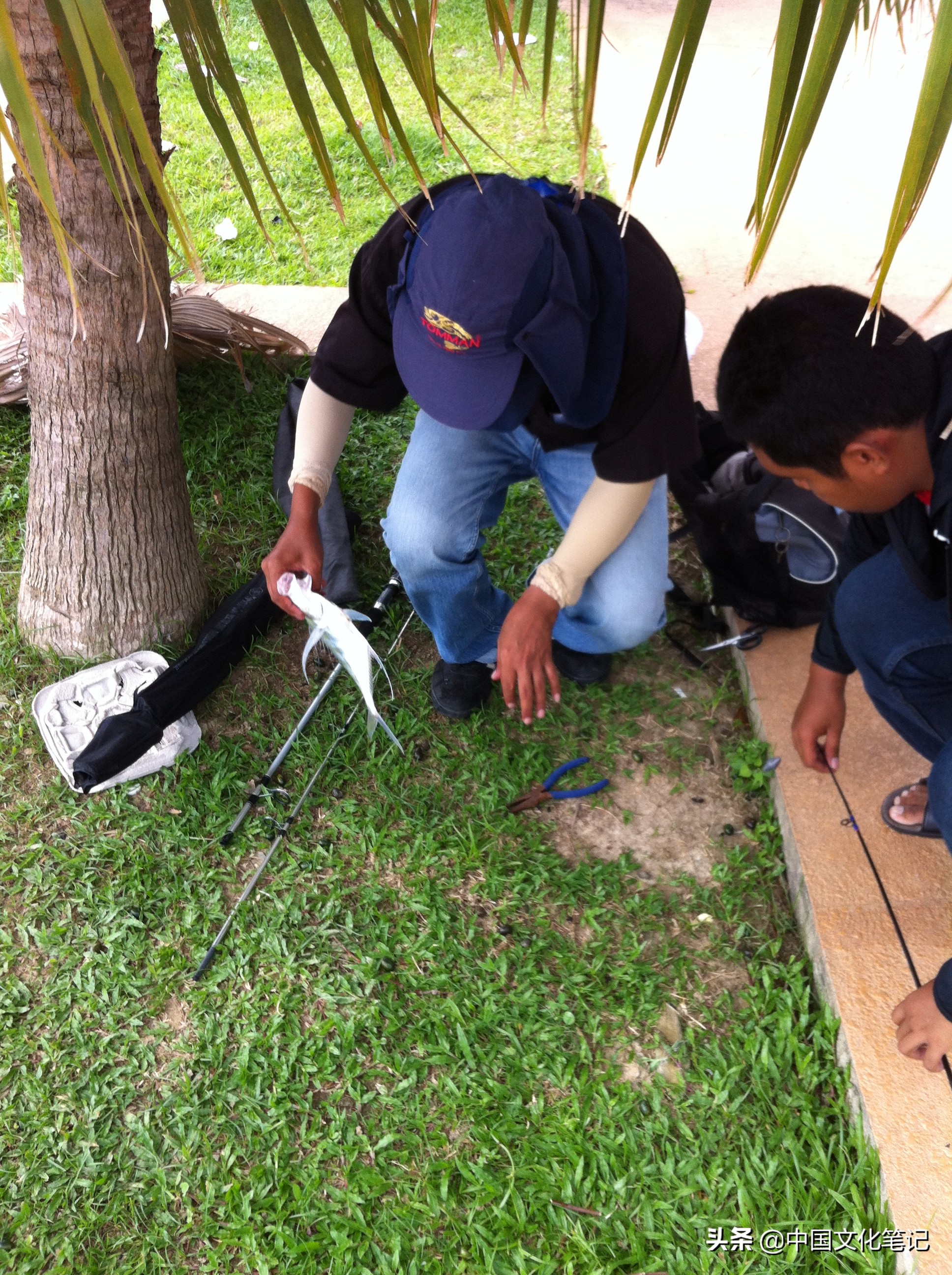 马来西亚沙巴大学旅游记,马来西亚沙巴亚庇水上清真寺游记