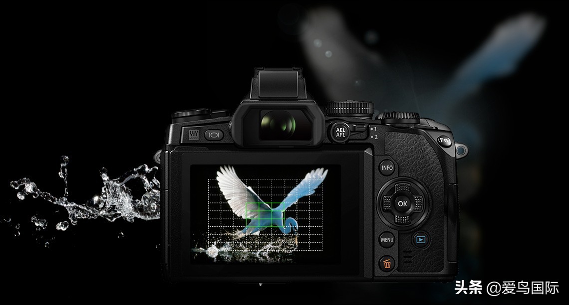 奥林巴斯单反全系列相机,奥林巴斯三千相机推荐