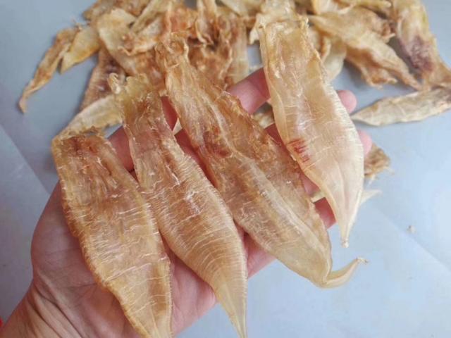 海陵岛闸坡渔港,海陵岛闸坡世界级渔港码头