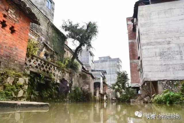 桂平探访古镇老街,桂平石龙老街的历史