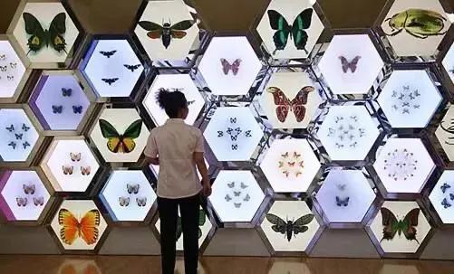 上海地铁沿线景点一日游,上海地铁11号线上海赛车场站