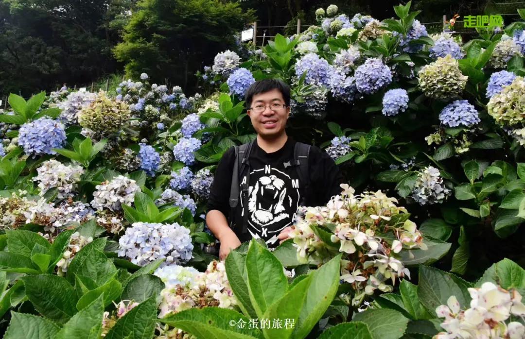 旅行达人都有哪些,高颜值旅行达人