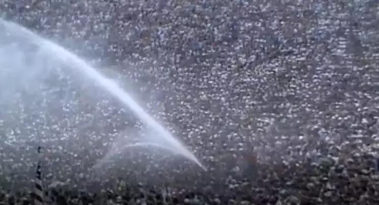 1983两个人歌曲,1983两个人歌曲原唱