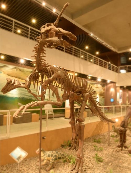 山东东部曾是恐龙乐园，这种恐龙个头如大象，鼻部长角如独角兽