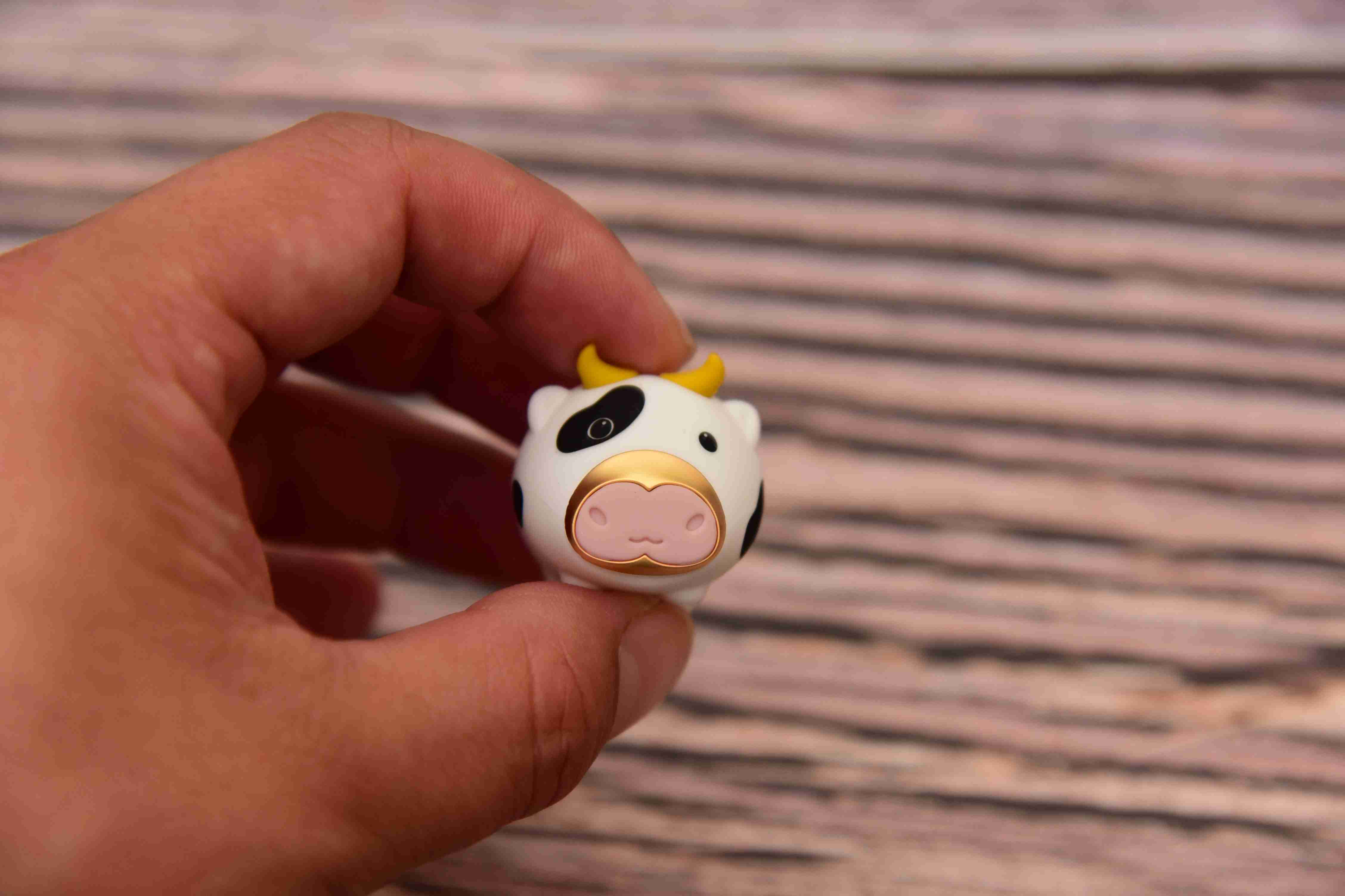 有了u盘可以干什么,有了u盘可以玩些什么呢