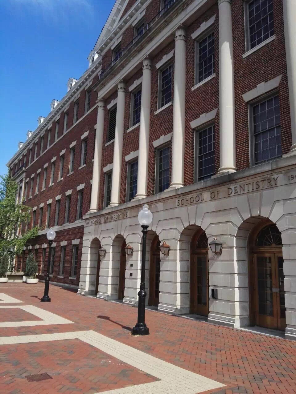 本科毕业如何去美国留学,大一如何申请美国本科留学