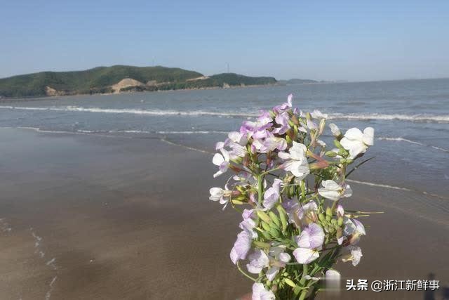 象山游玩住宿攻略自驾,桂林象山旅游攻略自驾