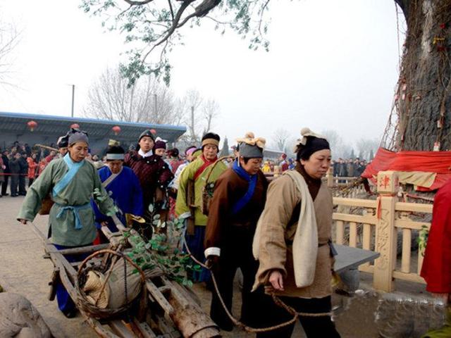 山西老鹳窝大槐树移民,大槐树上的老鹳窝