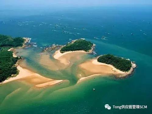 Tong学会第六期活动——苹果供应链沙龙暨广东德尔电器考察踏春游