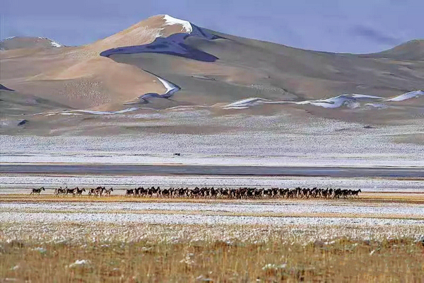 巴音布鲁克镇冬天的生活,巴音郭楞自治州和静县冬天