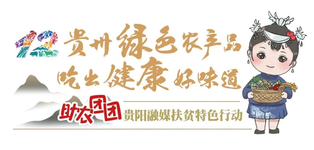 打造养老中心方便老人生活,打造一站式社区居家养老