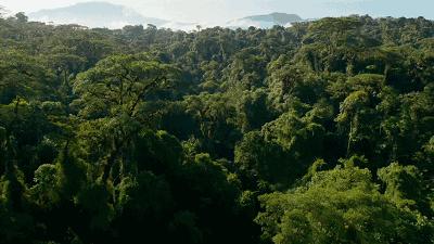 海南自贸港的全景,海南自贸港最新信息乐东