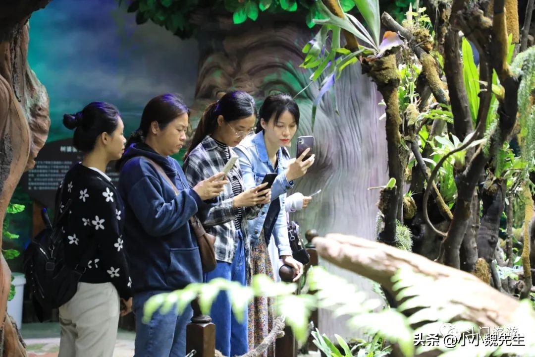 珠海有没有比较好的景点,珠海最漂亮群岛