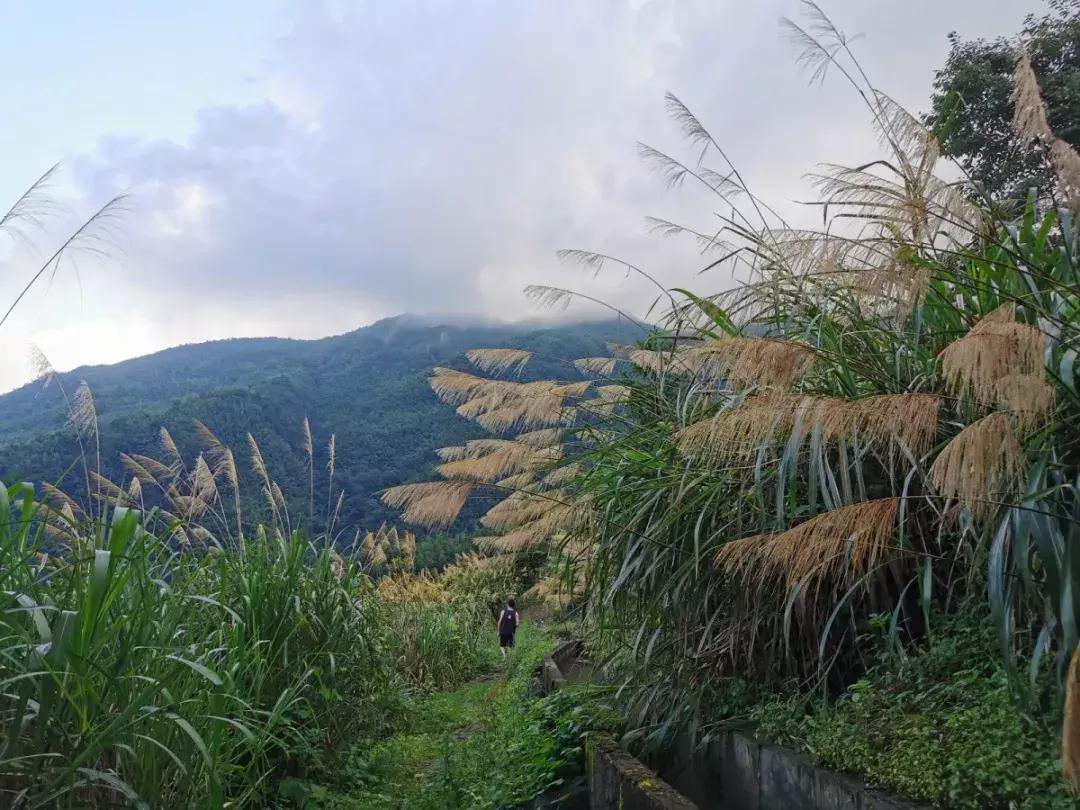 适合五一的浏阳民宿,浏阳最美民宿