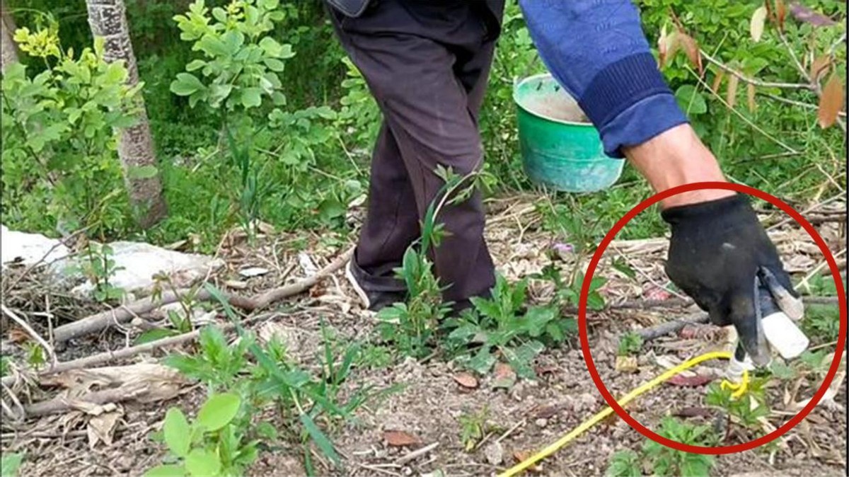 在农村电蚯蚓一天能赚多少钱,电蚯蚓一年能挣多少钱