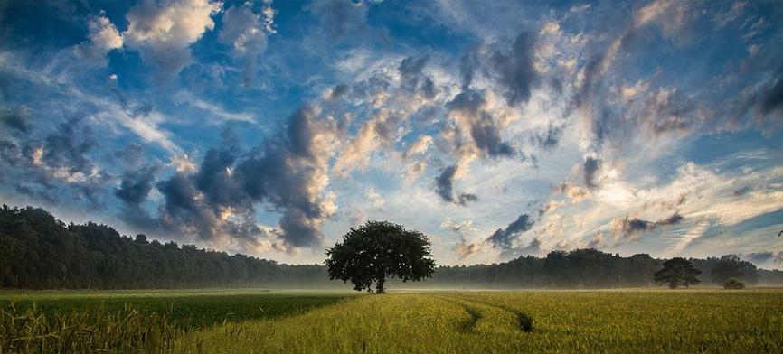 坐在办公室里的电商巨头种不好数字农业