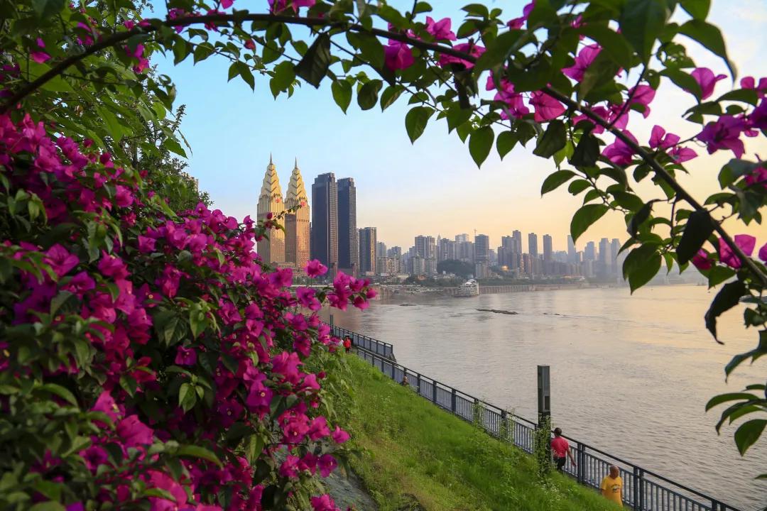 南滨·夜来香|春天里的一封信