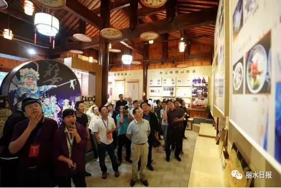 红色新丽水,红色浙西南央视