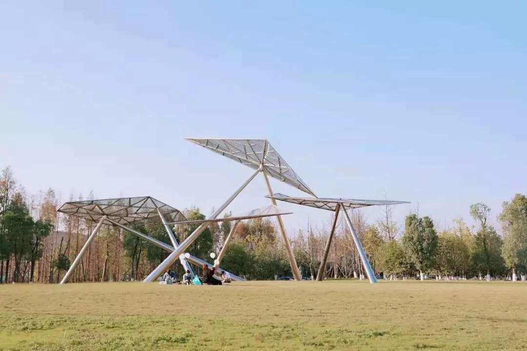 类似于橘子洲的江心洲有哪些,南京江心洲长沙橘子洲