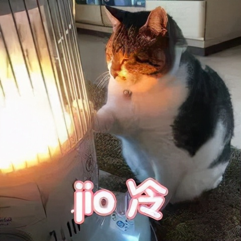 暖脚袜女款,暖脚袜女