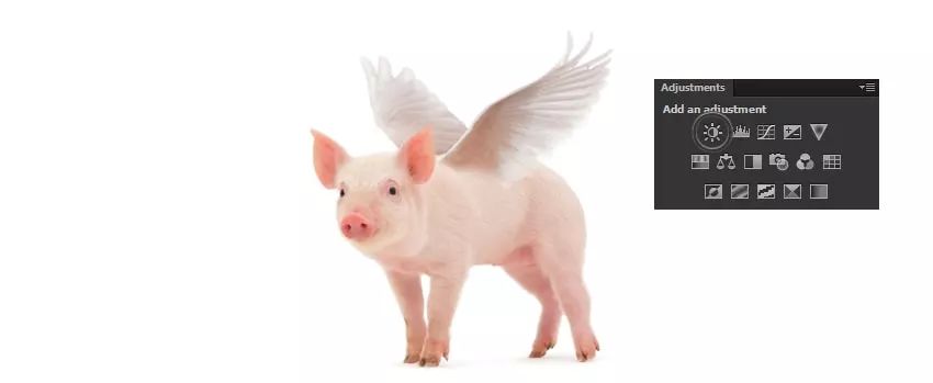 ps小猪怎么做,ps怎么合成驴子