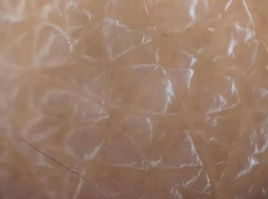 手持式显微镜放大100倍能看清什么,电子数码手机显微镜