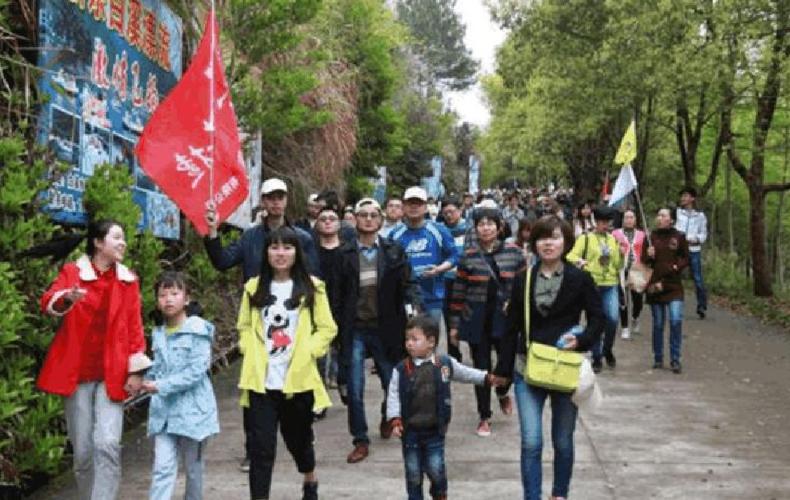 旅游时遇到导游强制消费怎么办,遇到强制消费的导游怎么办