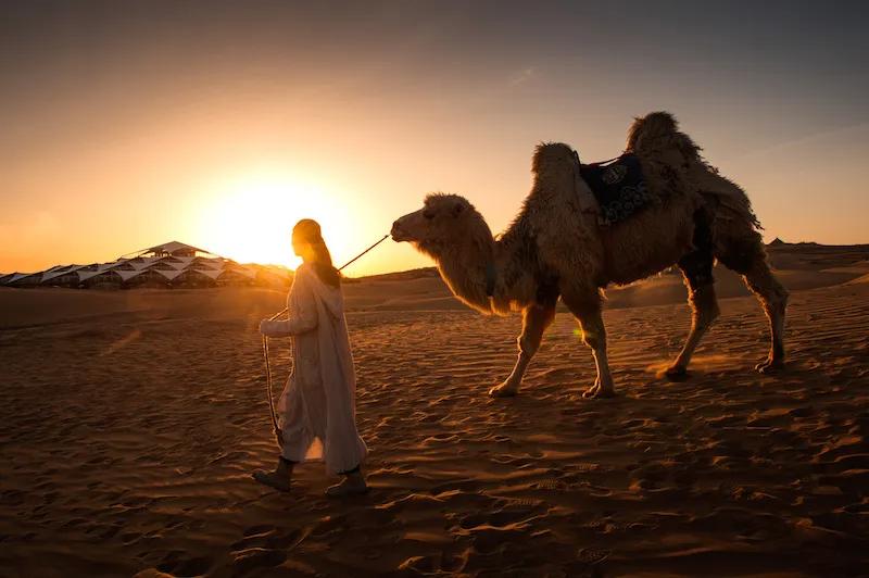 乐生活团购套餐,乐生活优惠套餐