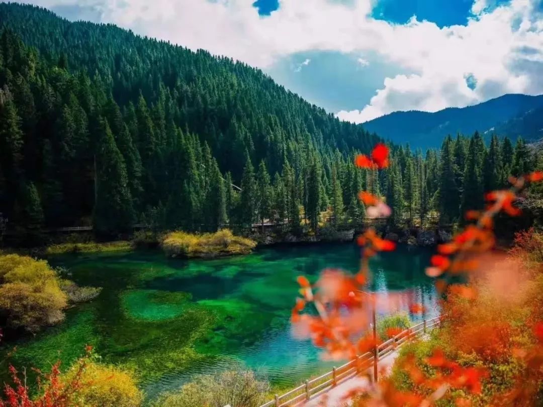 松潘之秋，品一场醇美的色彩盛宴