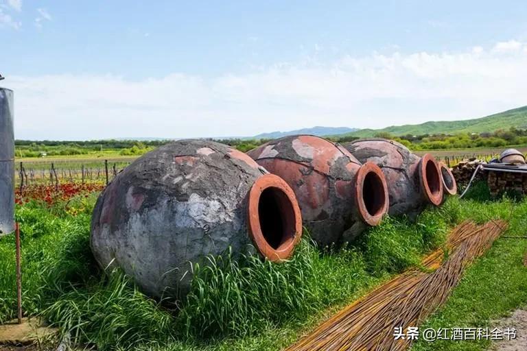 葡萄酒为什么必须使用橡木桶陈酿,葡萄酒达人推荐