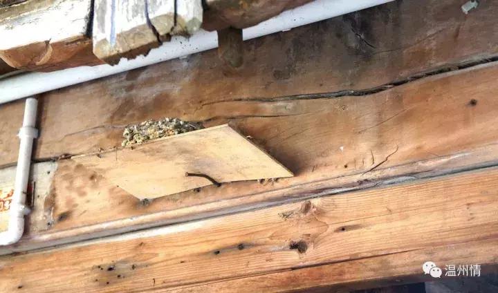 岁月有痕，瞿溪老街离我们不远