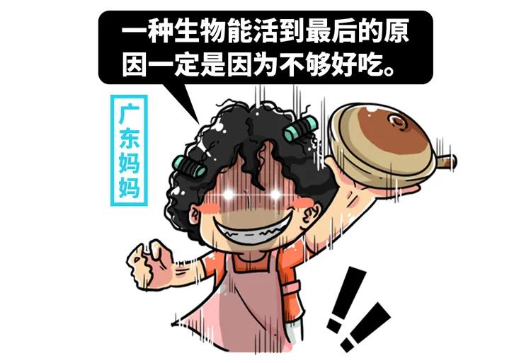 非洲大地最狂动物，动物园里连狮子毒蛇都有，偏偏没有它平头哥