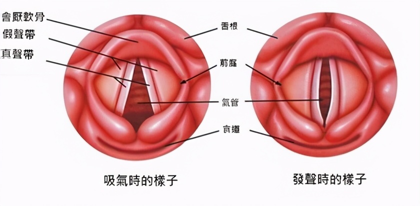 如何判断自己的高音中音和低音,你想知道自己是什么风格吗
