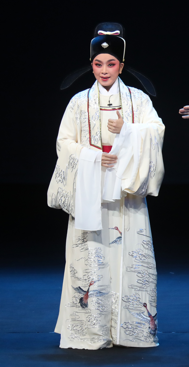 第29届中国戏剧梅花奖榜首,第31届中国戏剧梅花奖演出剧目