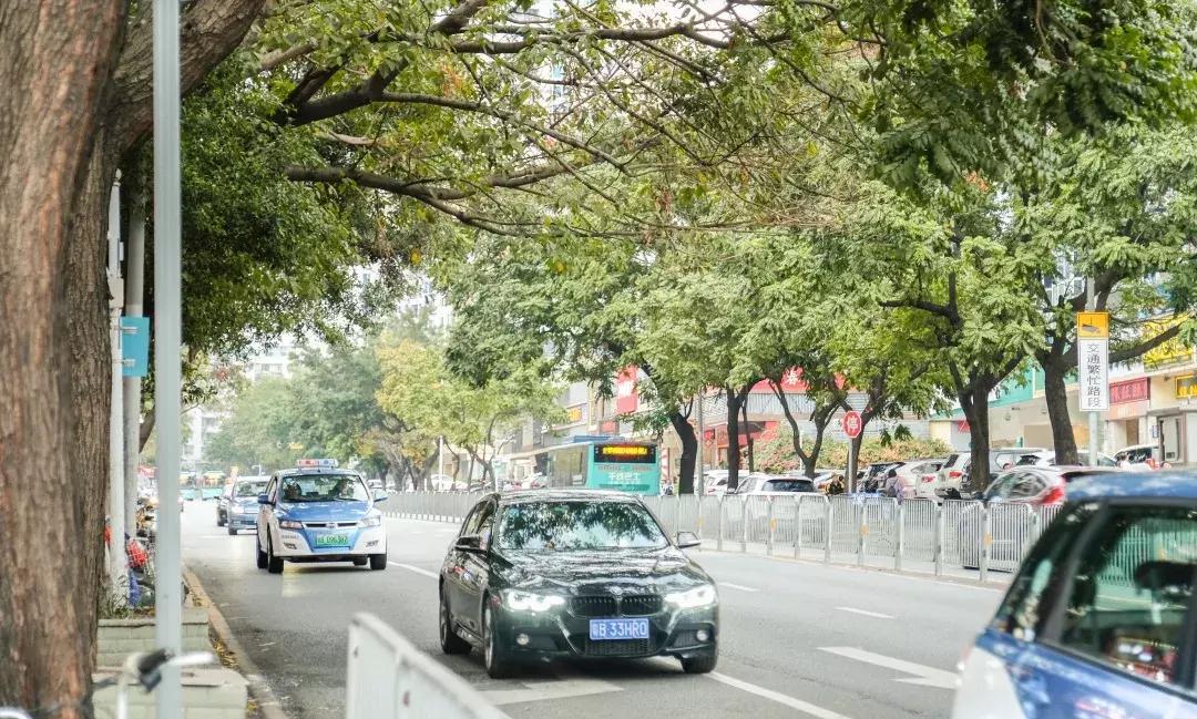 鍚庡北缈犵,姹熷哺缈犵