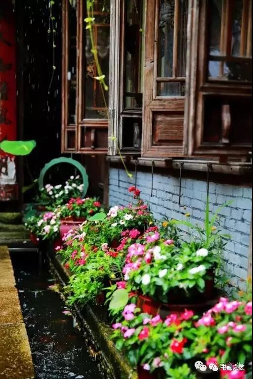 有芒的麦子和无芒的麦子,有芒刺的稻子